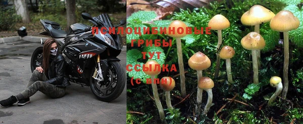 ALPHA-PVP Алзамай