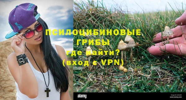 экстази Алексеевка
