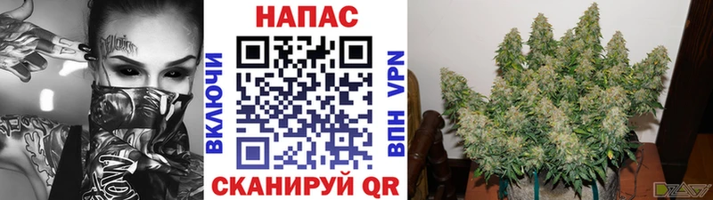 МАРИХУАНА индика  Дубовка 